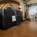 68e210ad97d2c.webp
